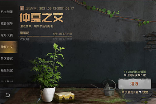 《明日之后》仲夏之艾活动