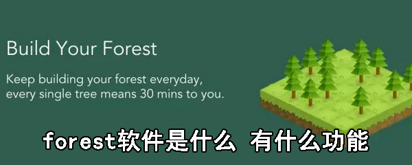 forest׿
